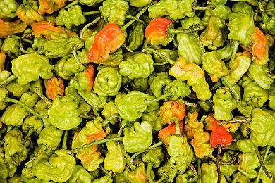 《战地2042》第五赛季“新黎明”6月7日上线 带来新地图和热成像